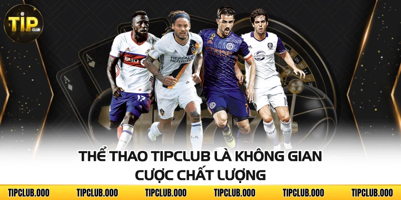 THỂ THAO 1 Thể thao TIPCLUB là không gian cược chất lượng